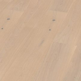 Oak No 36 - Harewood